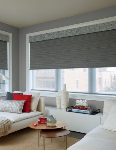 Gray roller shades in downtown modern apartment bedroom