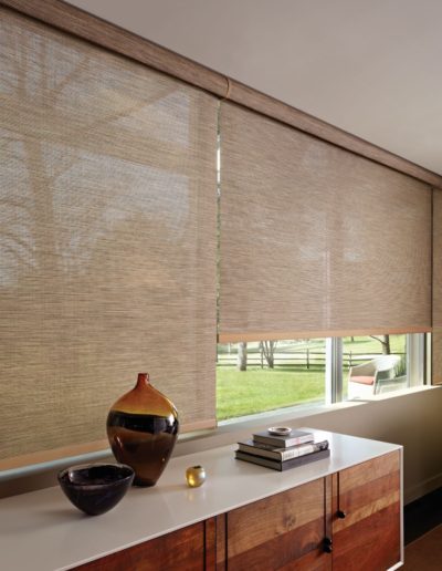 Modern living room with tan roller shades