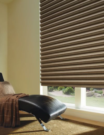 Brown honeycomb shades with leather chair in home study