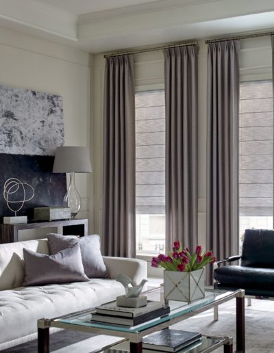 Living room with vertical gray blinds